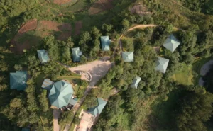 Tourists can book lodges close to the Bwindi Impenetrable Forest national park